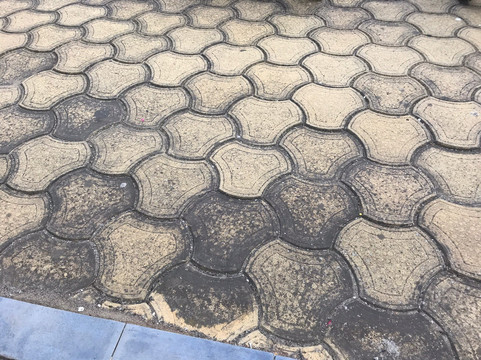 保加利亚酒店主图