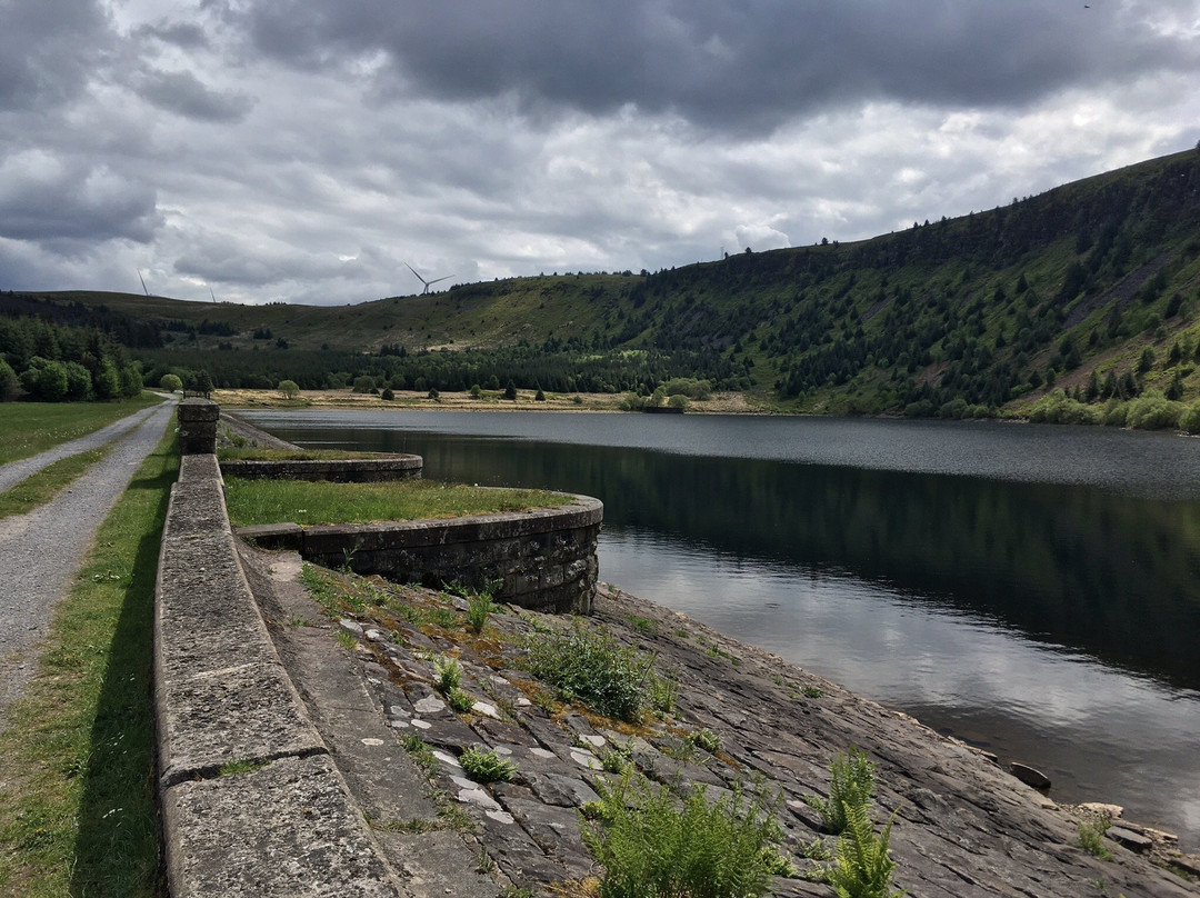 Llyn Fawr景点图片