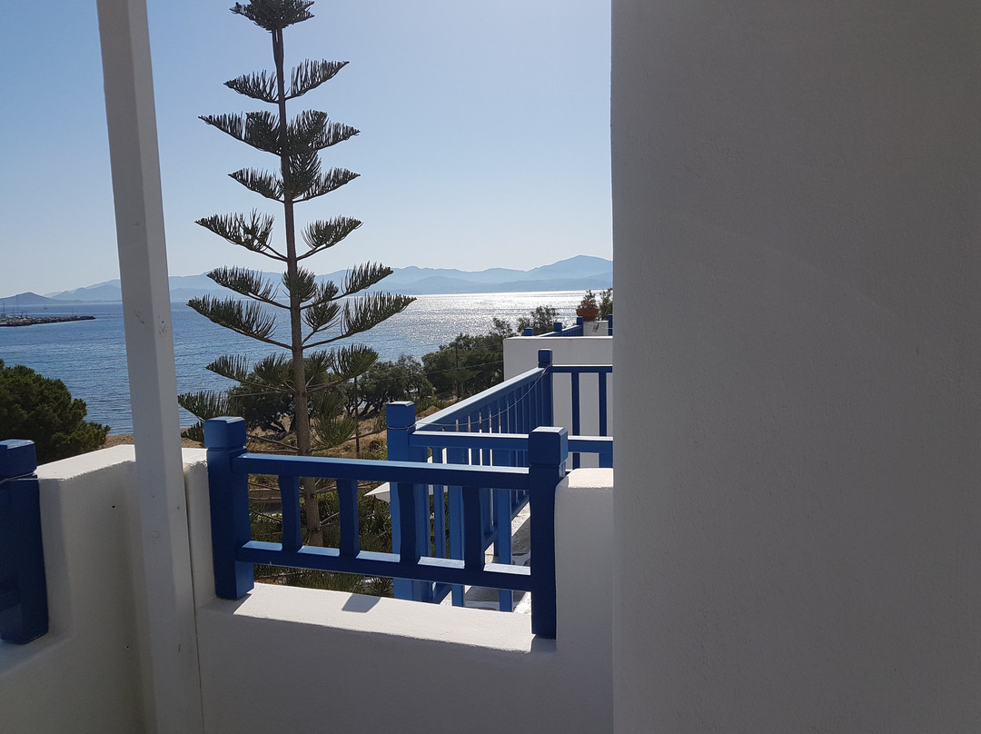 Ragoussis House主图