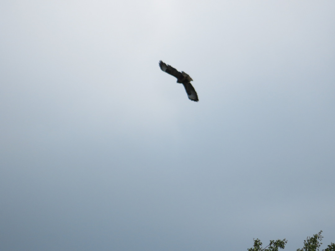 Upper Carriston Trout Fishery-Markinch必去景点
