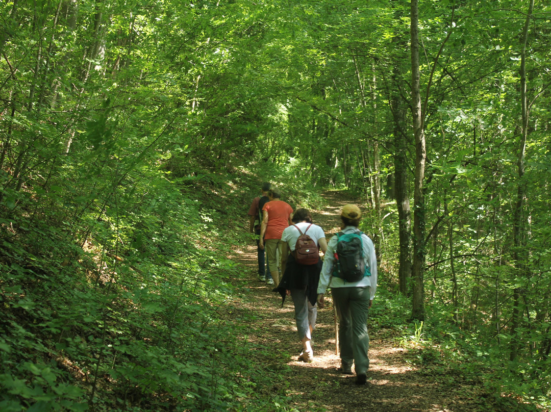 Ziveli Tours-贝尔格莱德必去景点