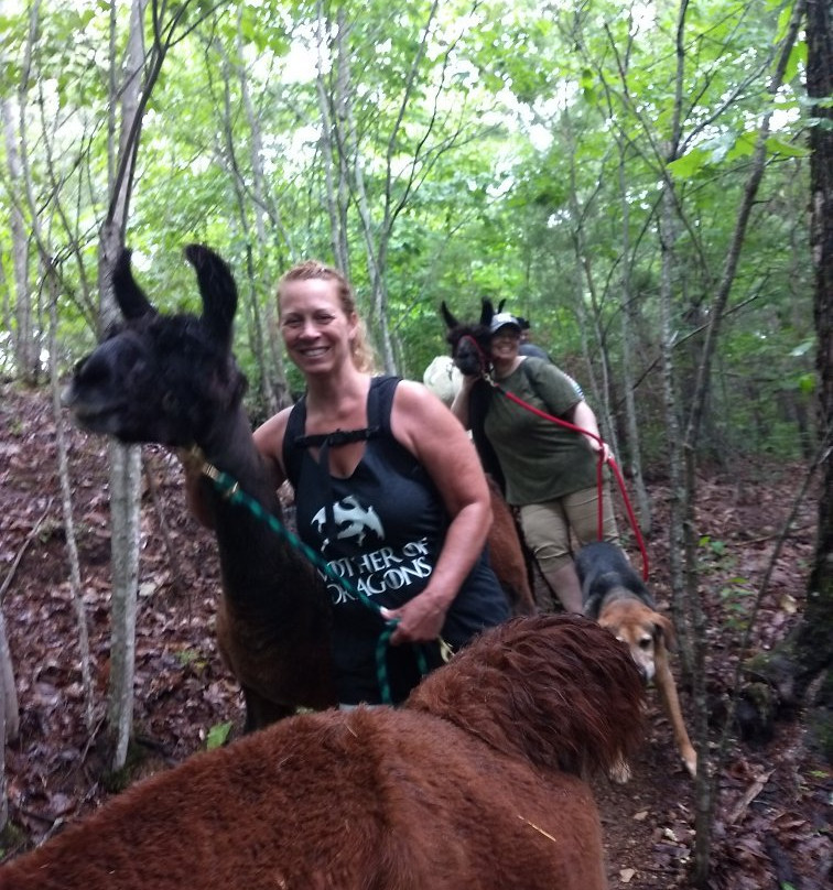 Smoky Mountain Llama Treks景点图片