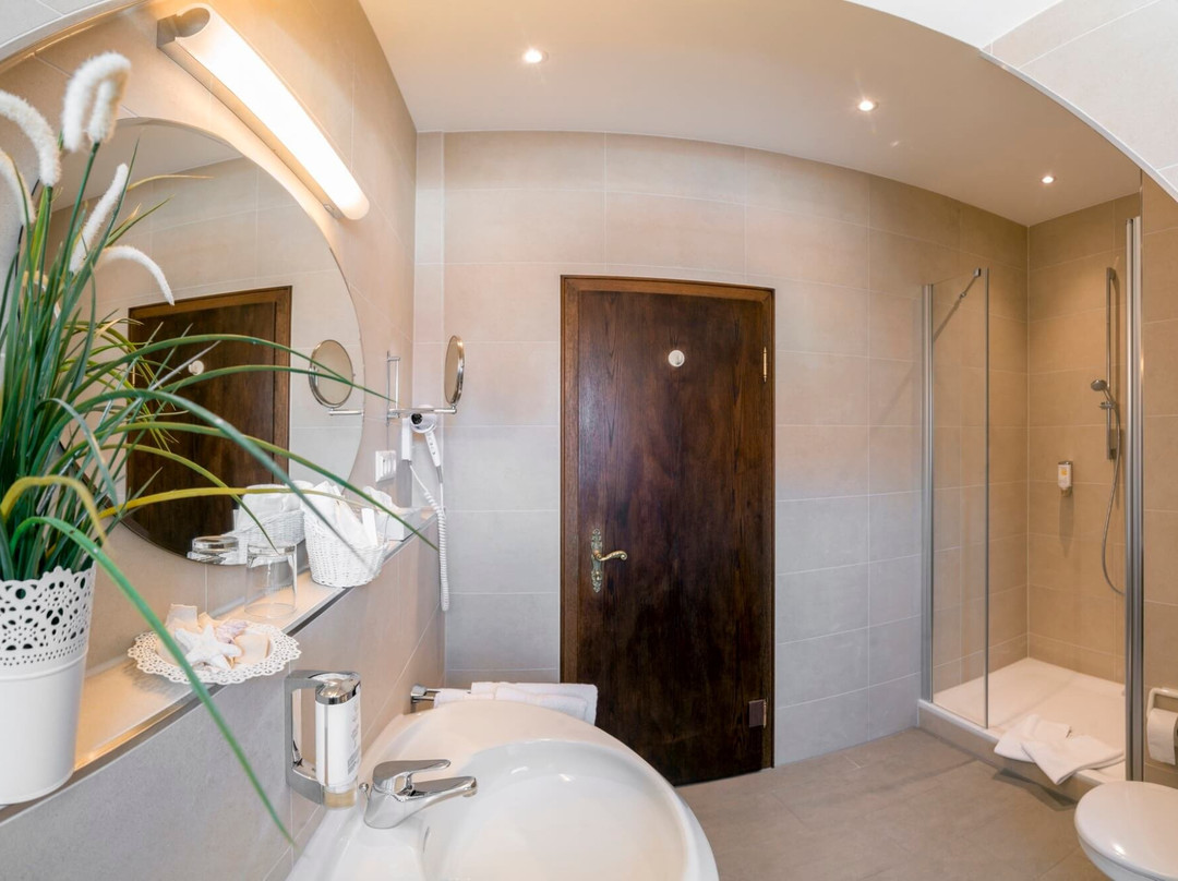 Hotel Adler Post主图