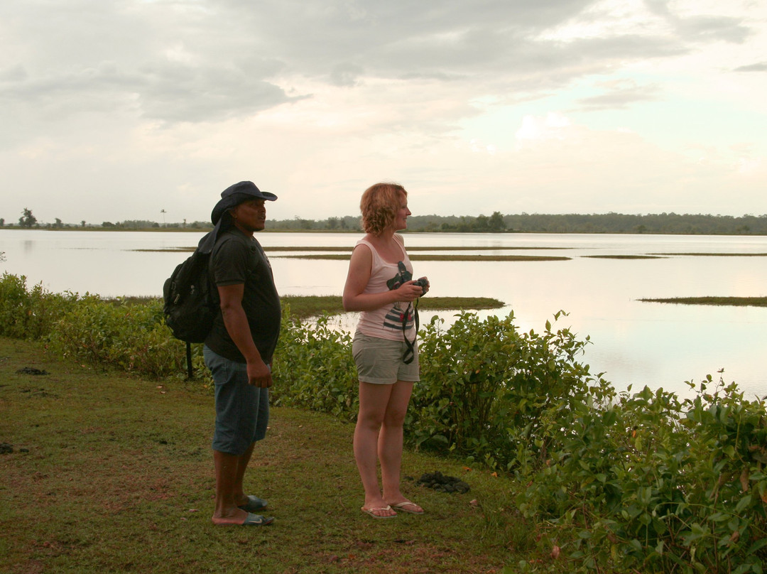 Bom Jesus Farm-Soure必去景点