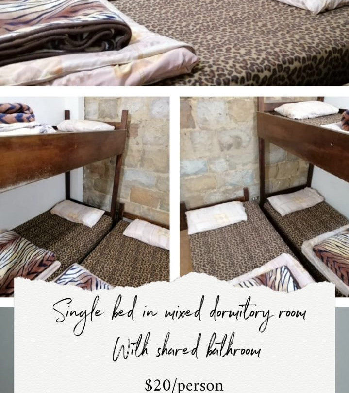 Tiger House Pension主图