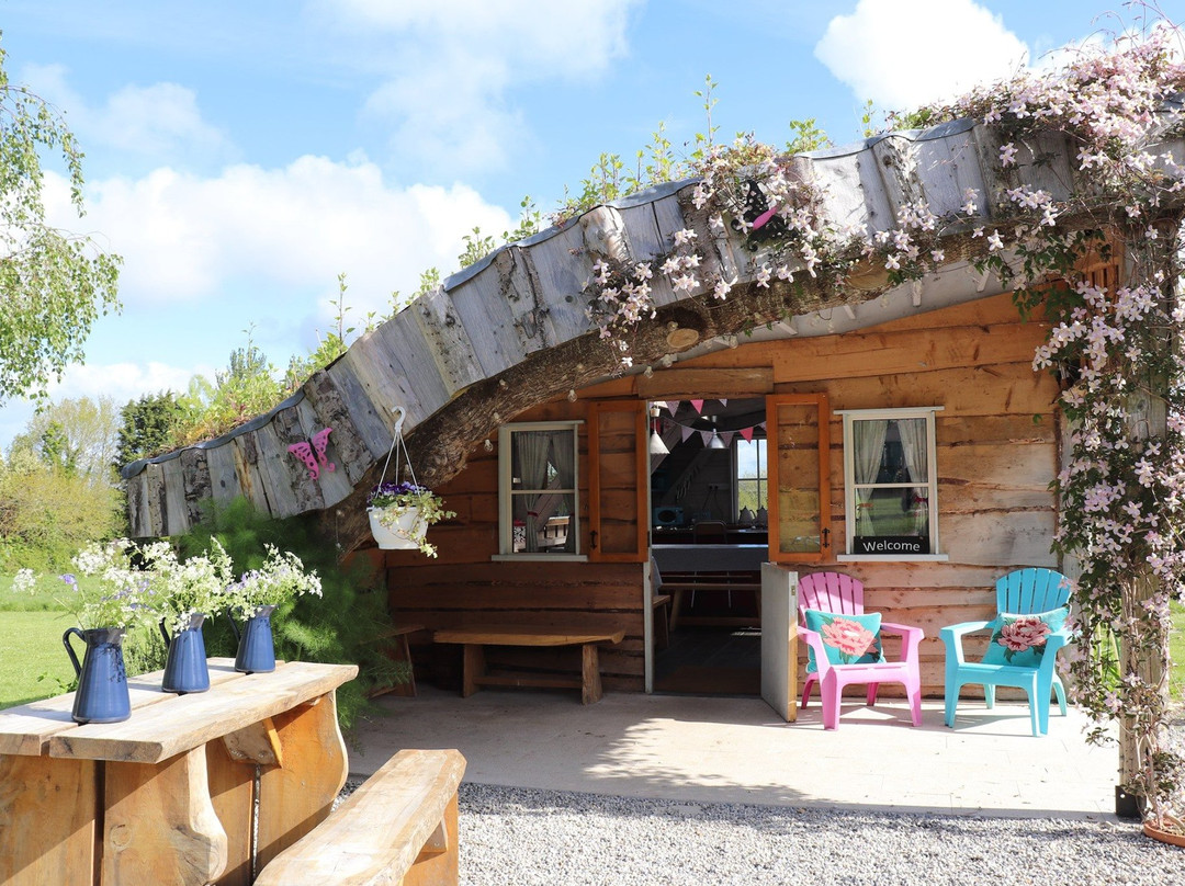Glamping Under The Stars
