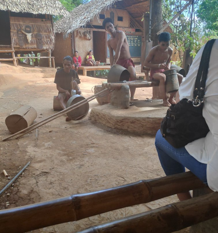 Palawan Butterfly Ecological Garden and Tribal Village景点图片