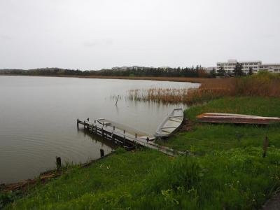 Sakata Park-新泻市必去景点