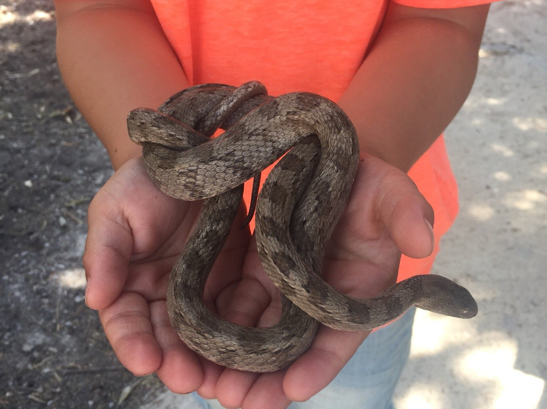 Kouklia Reptile Park-库克利亚必去景点