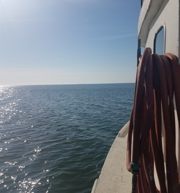 Davis Shore Ferry Service景点图片