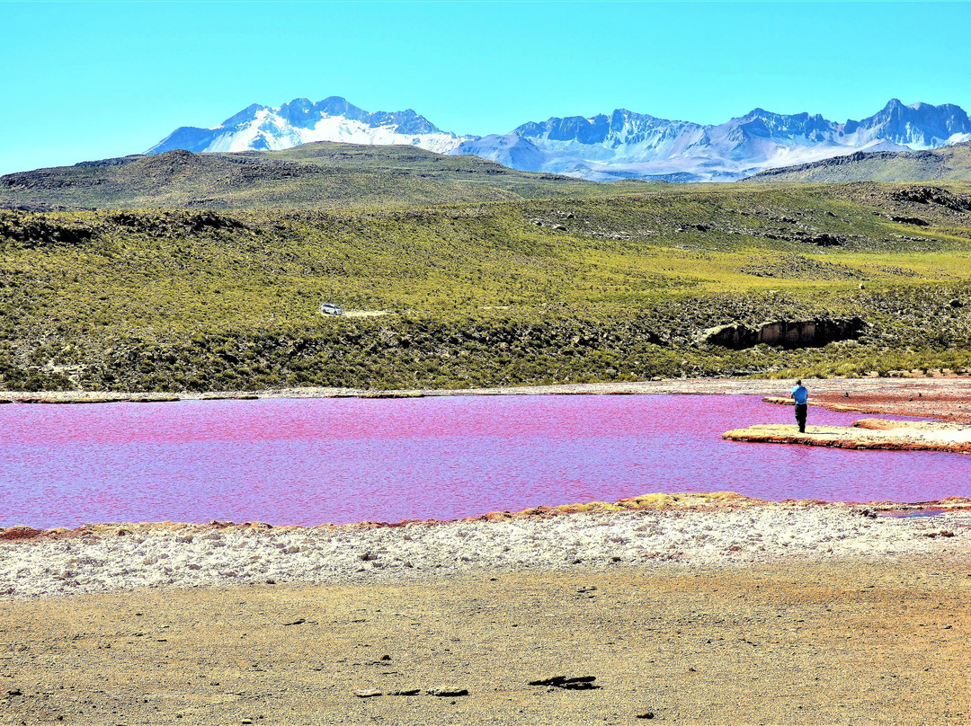 Laguna Roja-阿里卡必去景点