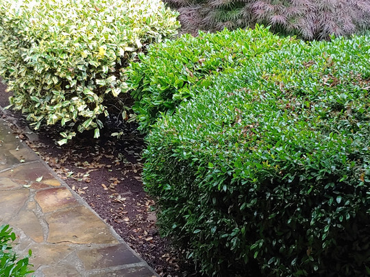 Phillips Historic Motel & Cottages主图