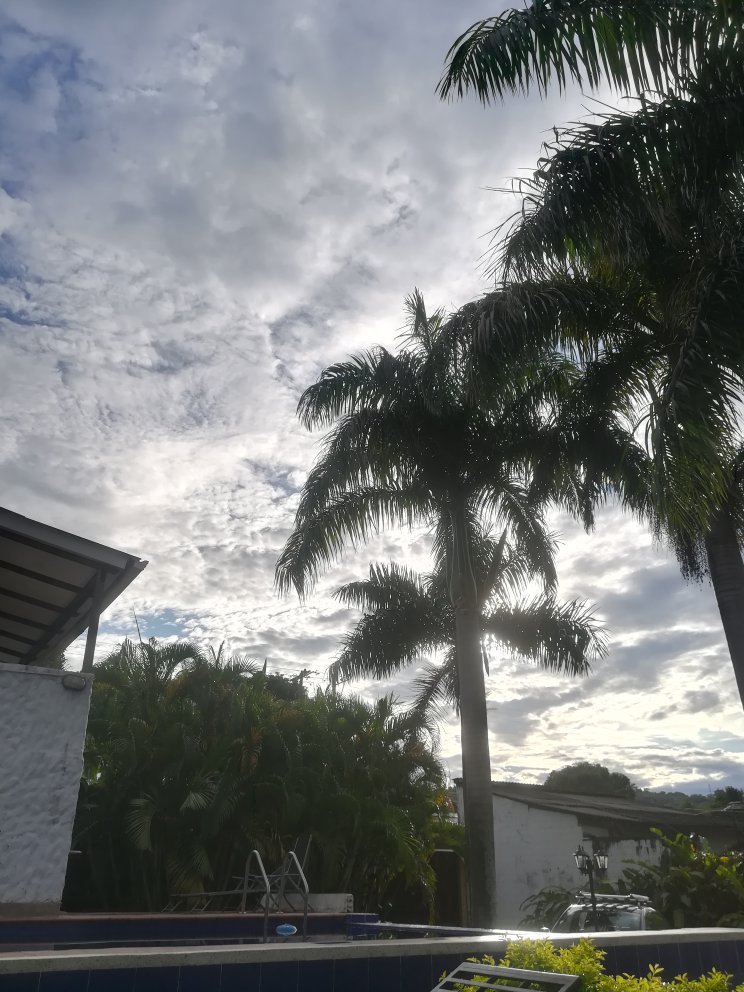 Casa de los virreyes-官方