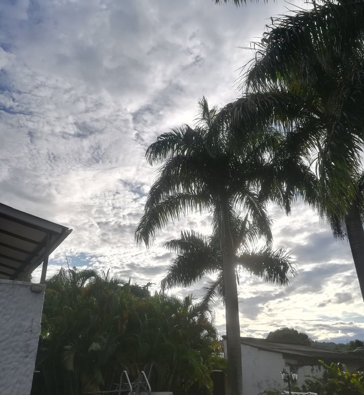 Casa de los virreyes主图