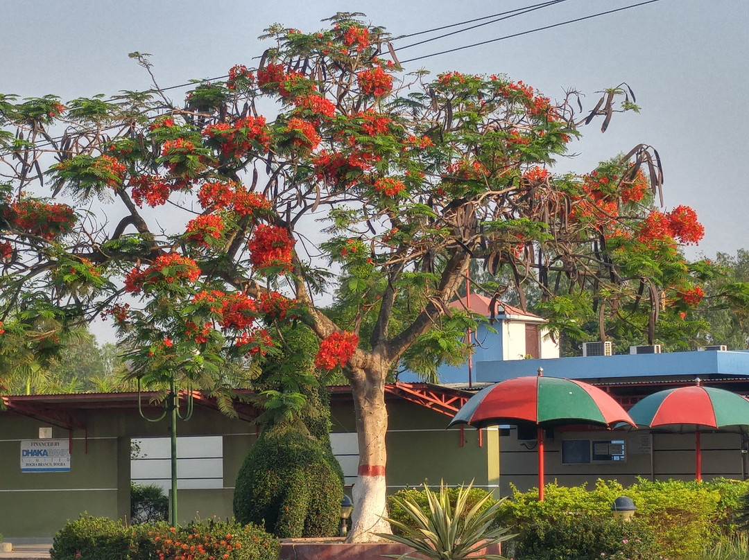 Hotel Naz Garden主图