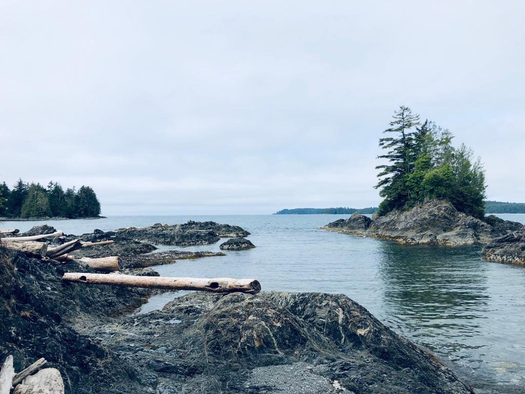 Pacific Gateway Wilderness Lodge-泳池