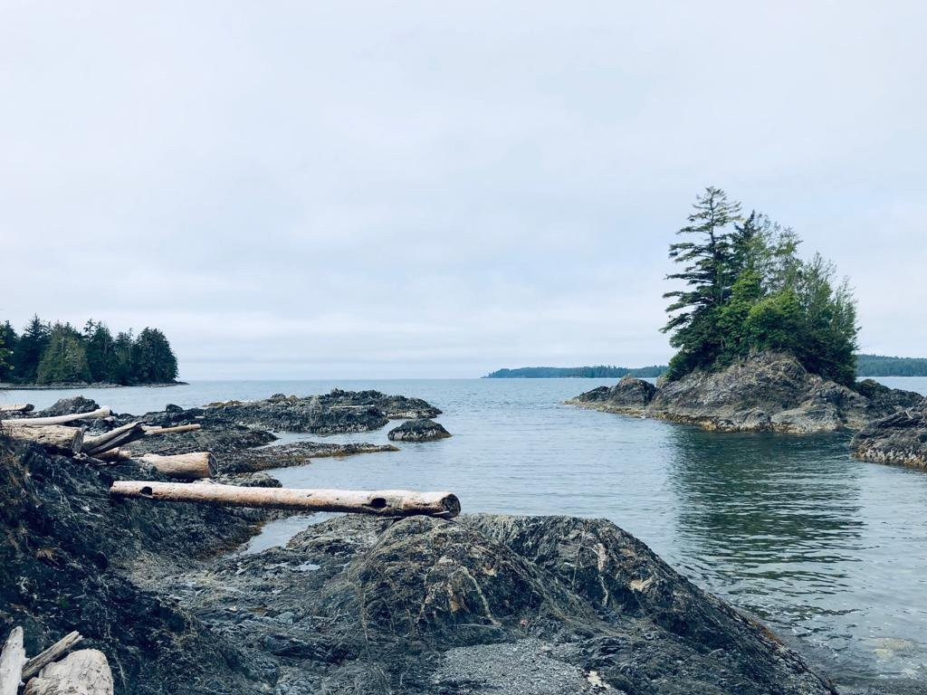 Pacific Gateway Wilderness Lodge主图