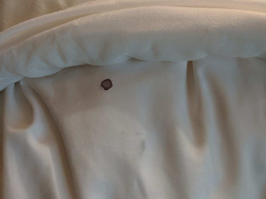 Baymont by Wyndham South Haven主图