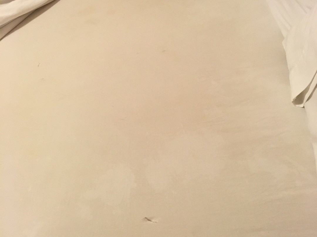 Sunflower Motel主图