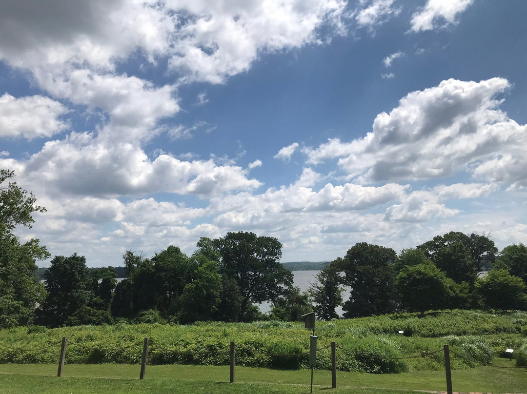 River Farm-亚历山德里亚必去景点