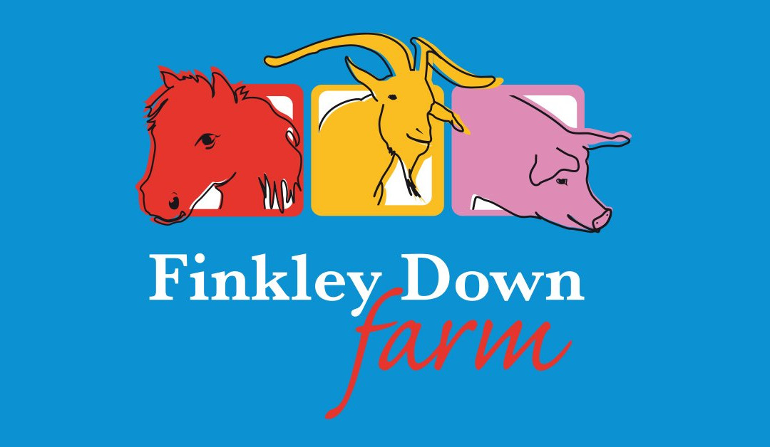 Finkley Down Farm景点图片