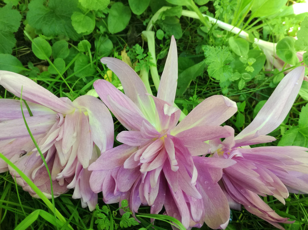 Le Relais de Chanteloube主图