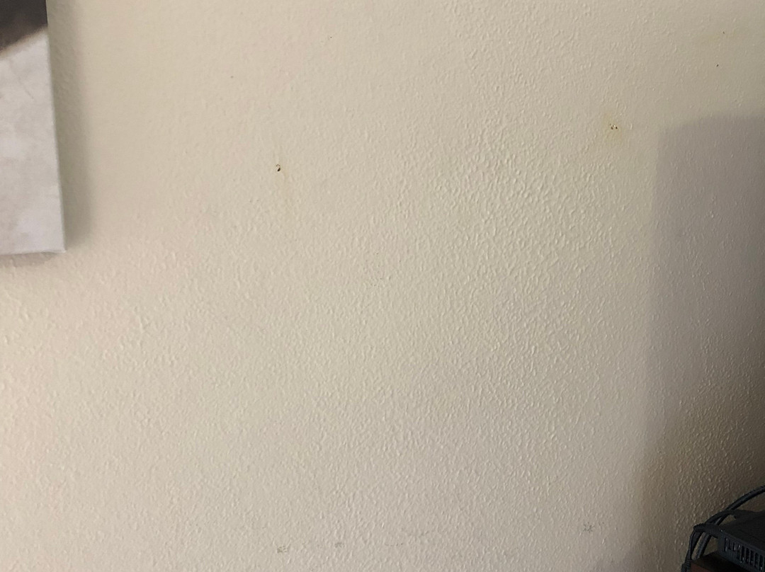 Rancho Viejo Resort主图