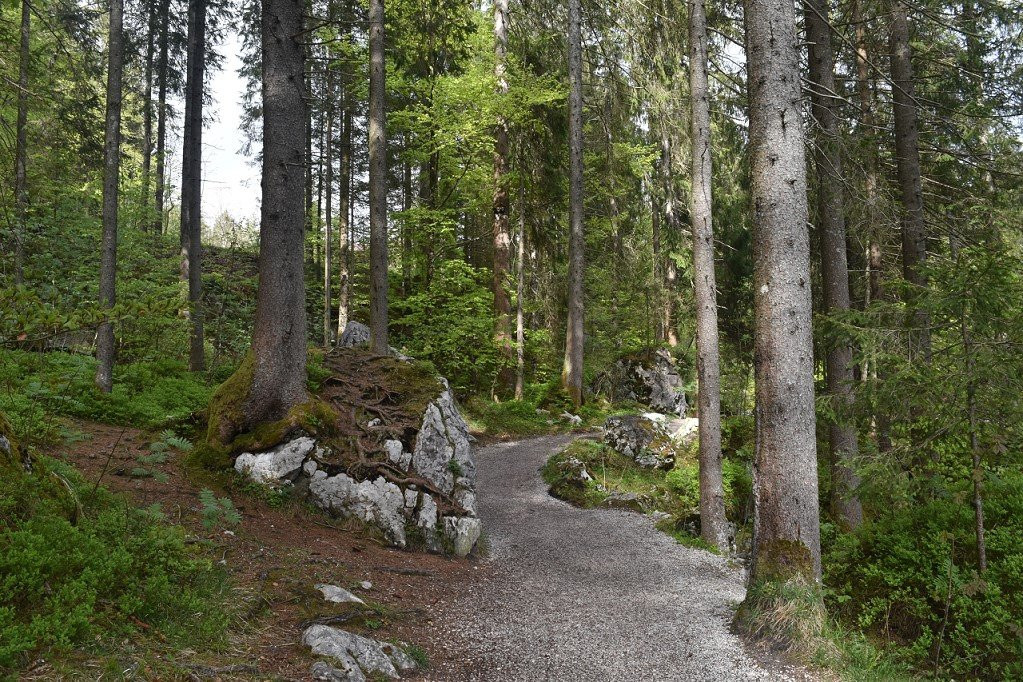 Luitpold, Prince Regent of Bavaria Trail