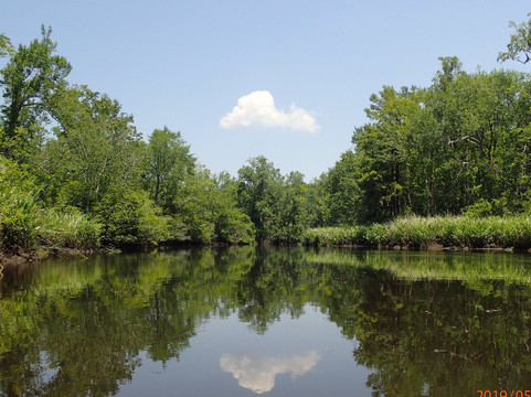 Kayak Charleston-查尔斯顿必去景点