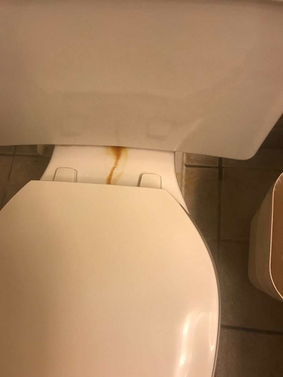 伊丽莎白城大学附近舒适酒店-浴室