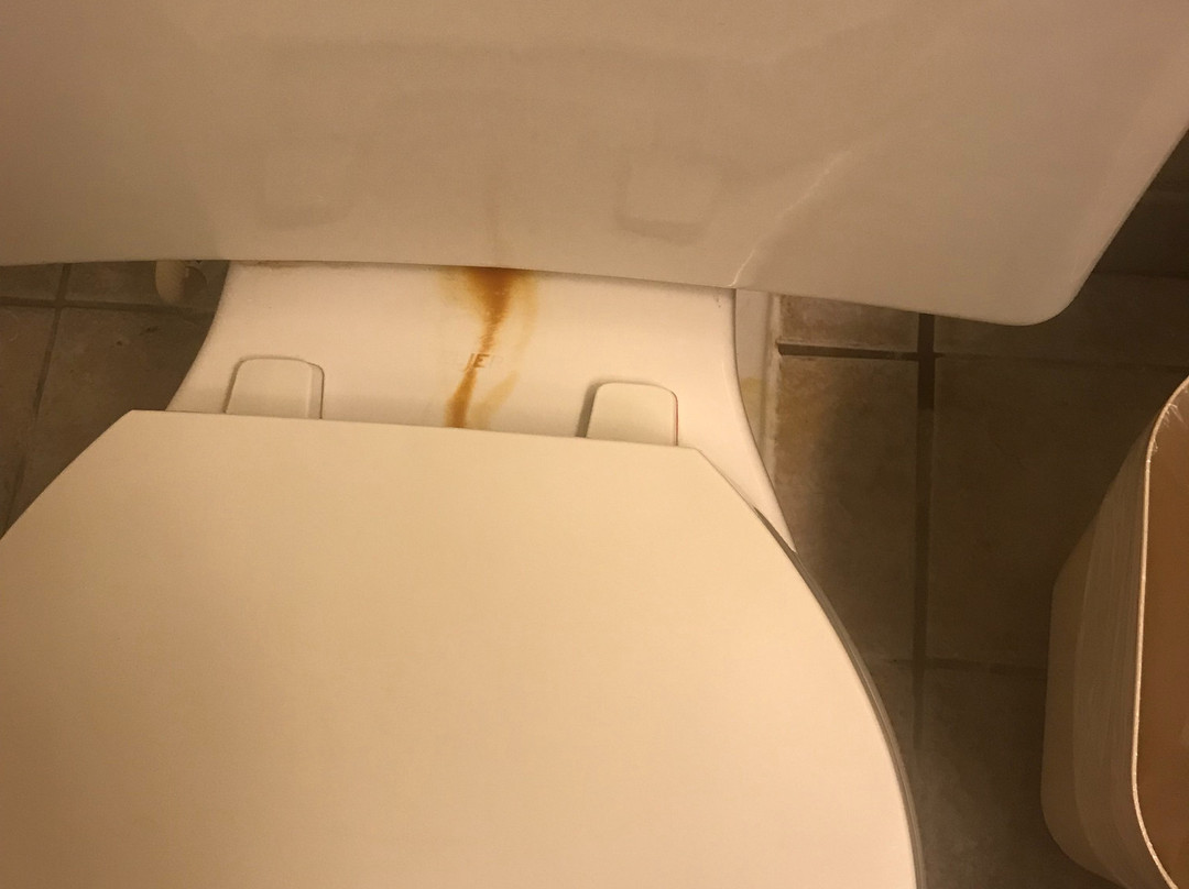 Comfort Inn Elizabeth City主图