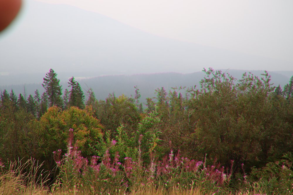 Kootenay Valley Viewpoint景点图片