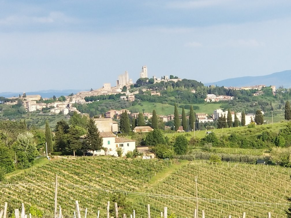 Agriturismo Panizzi主图