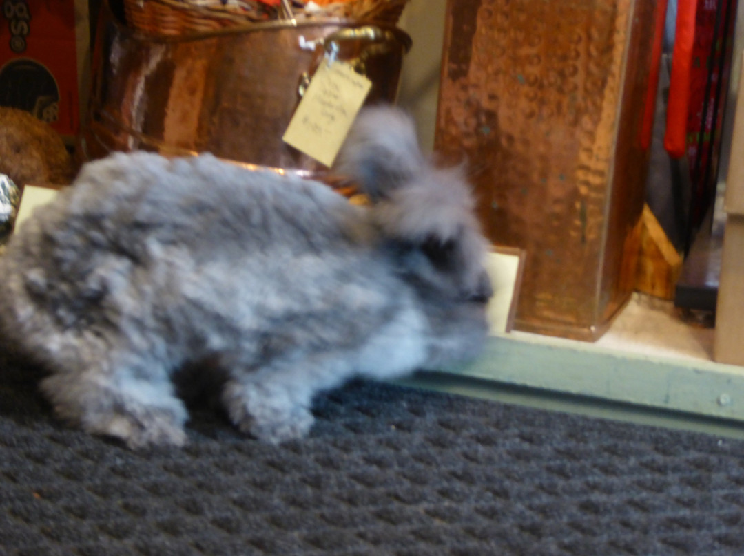 East by West-尤里卡斯普林斯必去景点