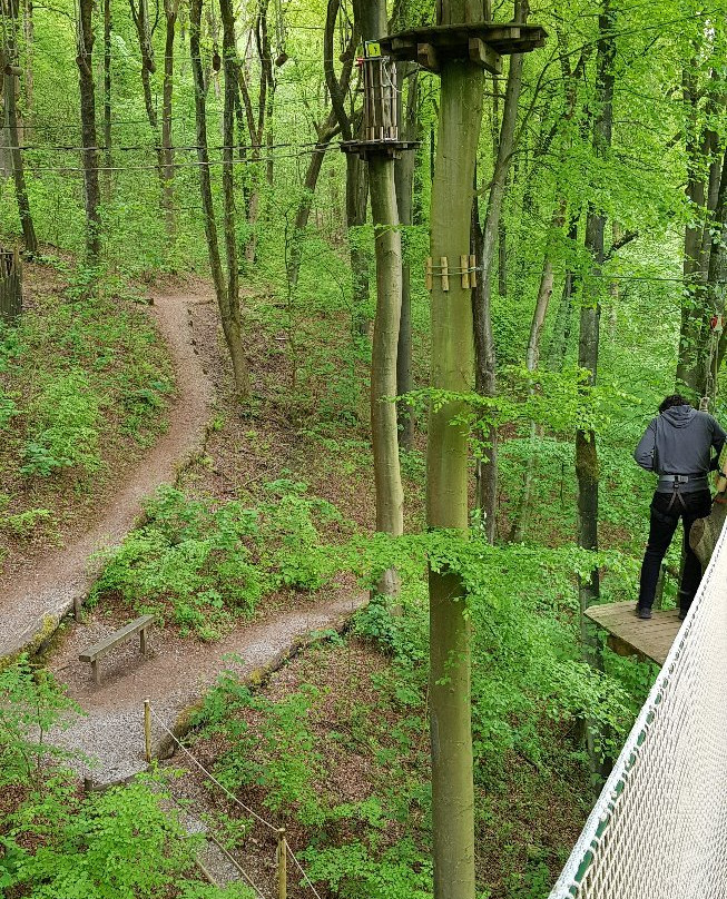 Go Ape Buxton-巴克斯顿必去景点