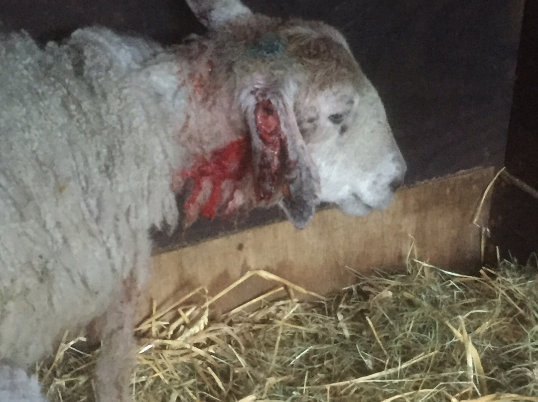 RSPB Cwm Clydach Reserve-Clydach必去景点