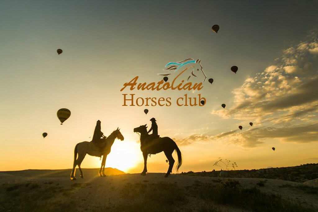 Anatolian Horse Club-格雷梅必去景点