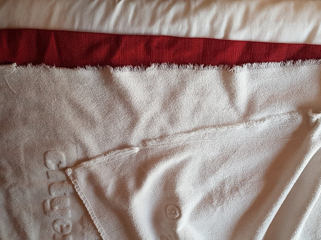 City Express By Marriott Torreón主图