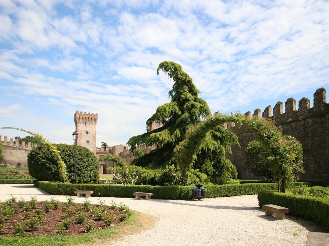 Castello Carrarese景点图片