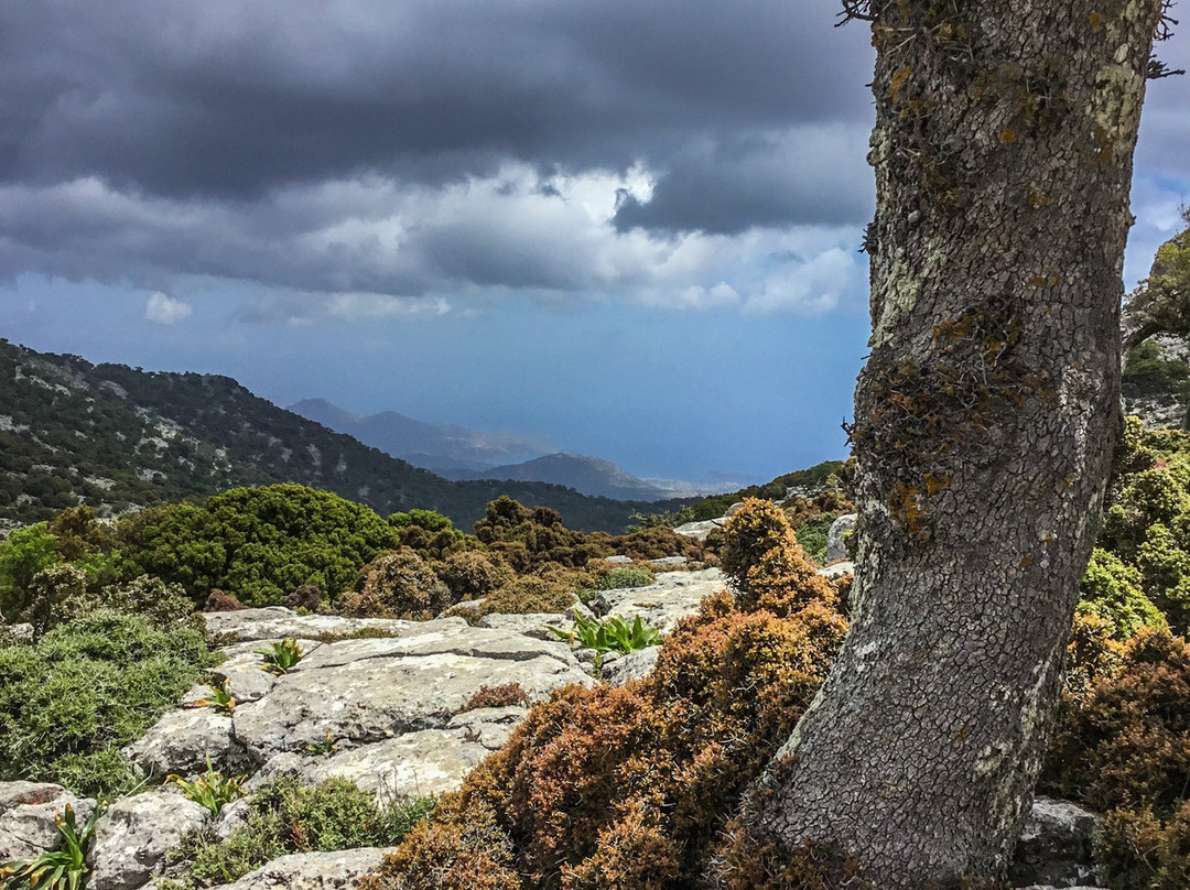 Kroustas旅游攻略图片