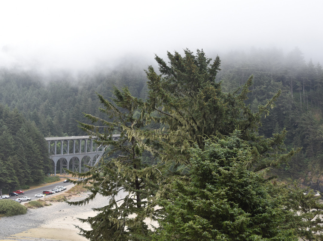 Heceta Beach-弗洛伦斯必去景点