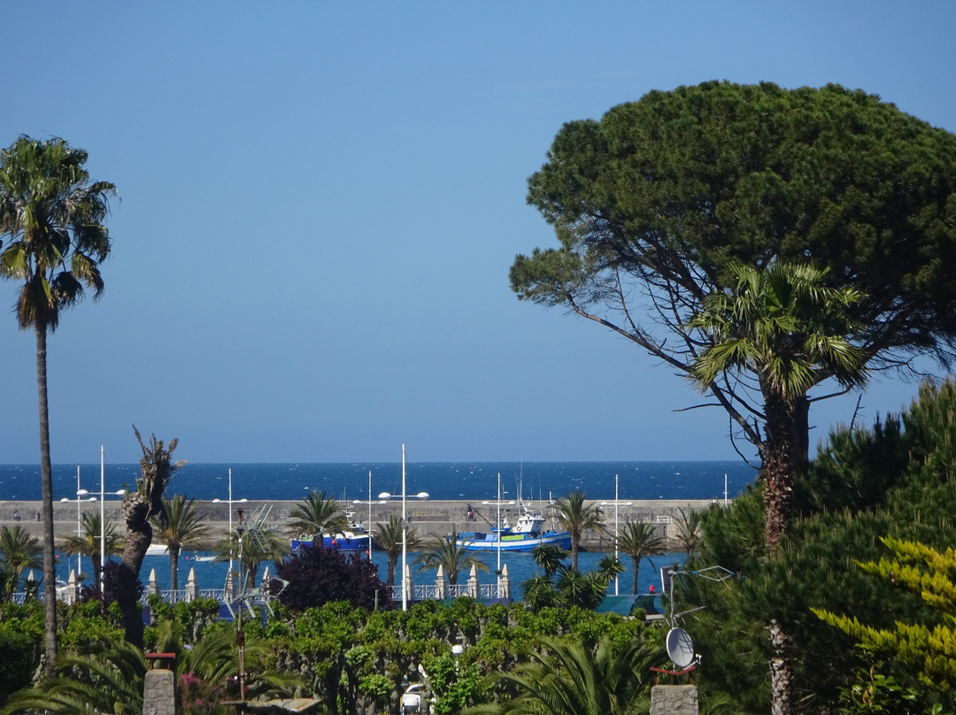 Las Rocas Playa Hotel主图