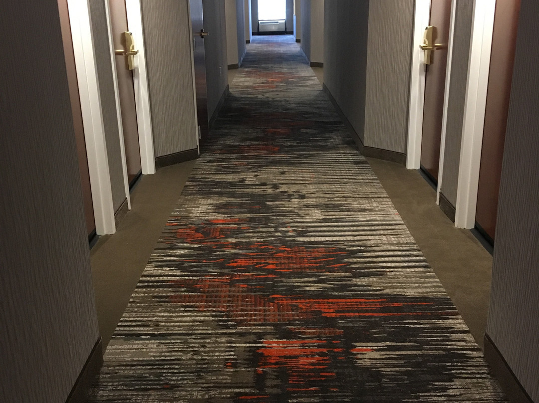 威尔克斯伯纳希尔顿恒庭酒店主图