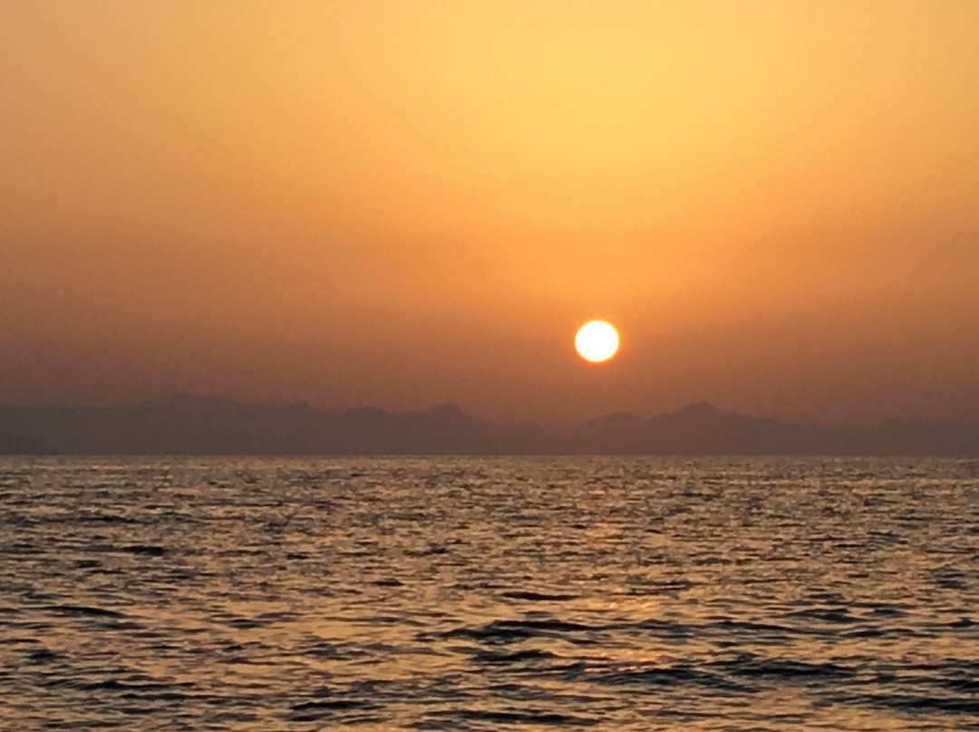 Offshore Adventures - Day Fishing Charters景点图片
