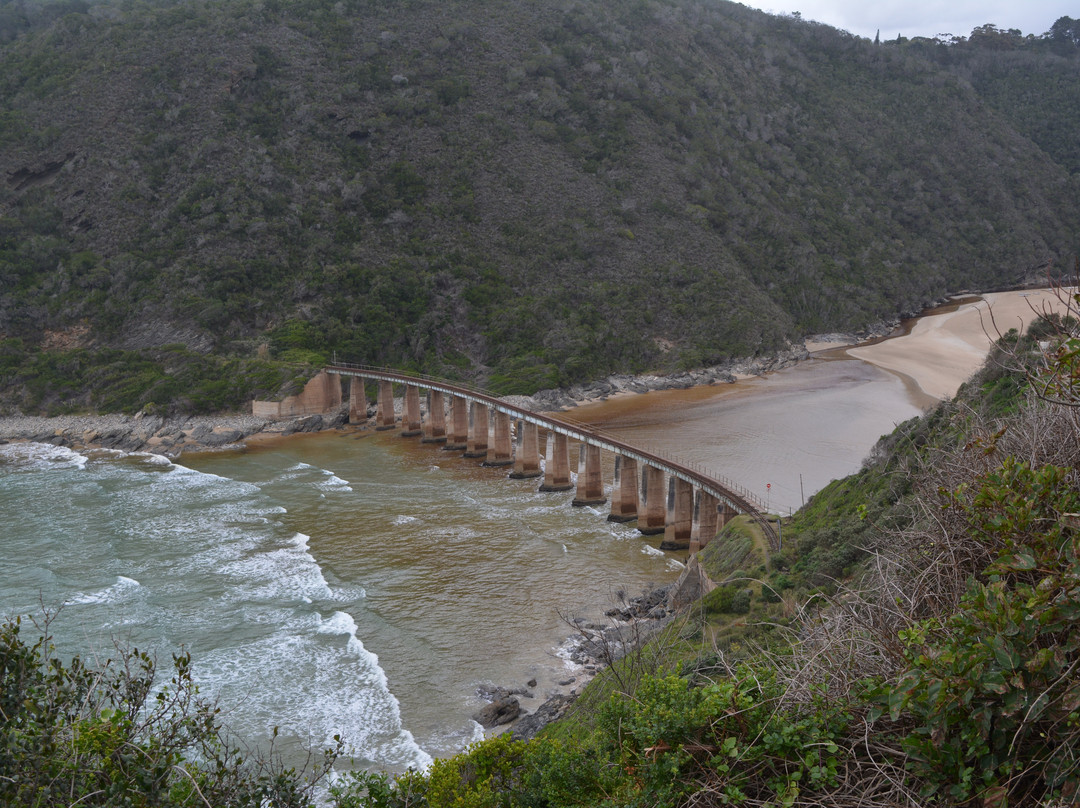 Dolphin Point Lookout-荒野必去景点