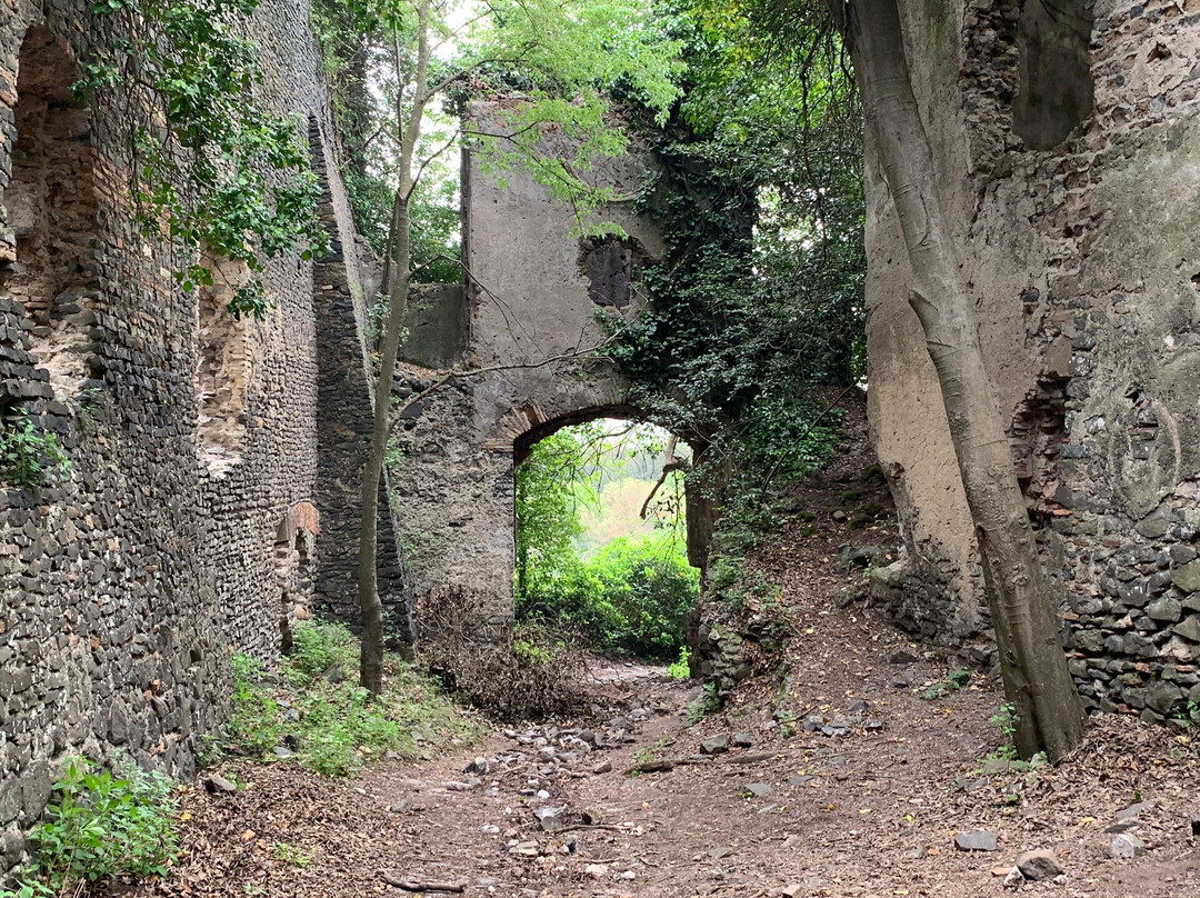 Monumento Naturale di Galeria Antica景点图片