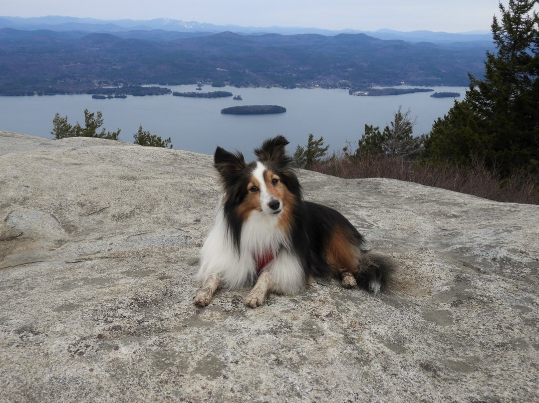 Buck mountain hiking trail-乔治湖必去景点