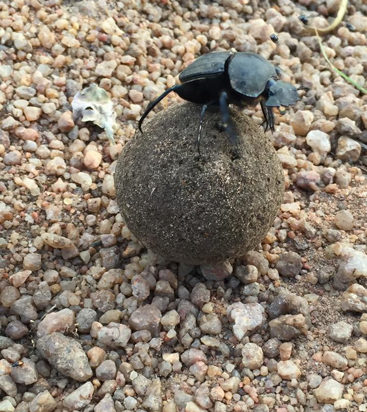Unathi Horseback Trails-Brits必去景点