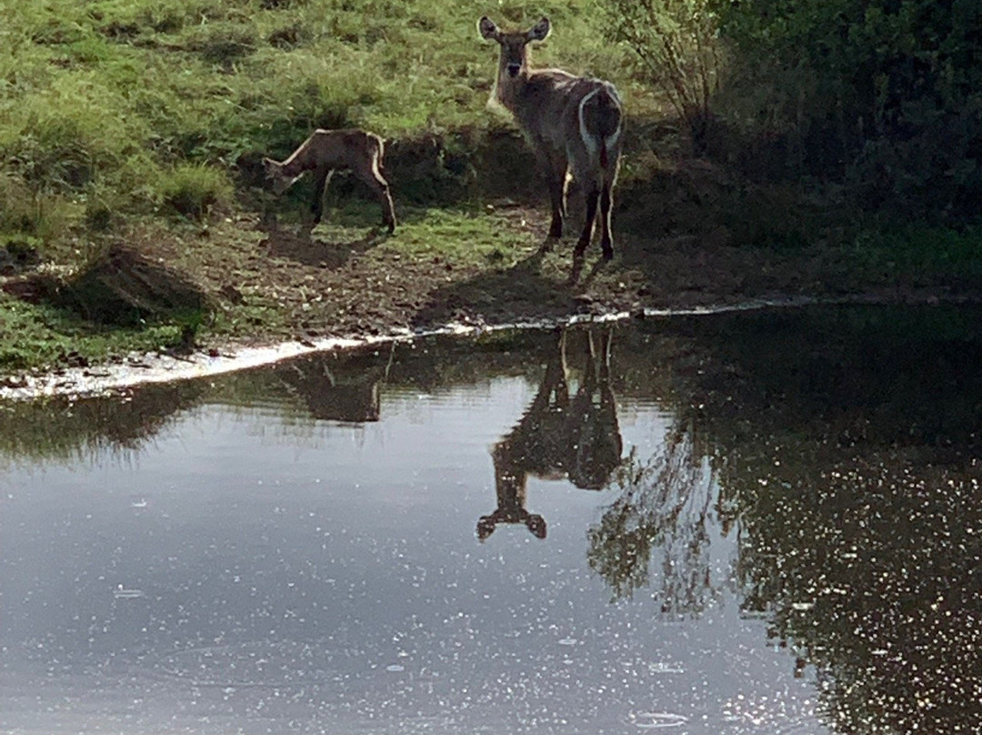 Gondwana Private Game Reserve主图