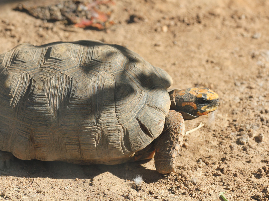 Hotel Fazenda Big Valley主图